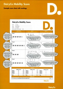 cover of dairyco score sheet